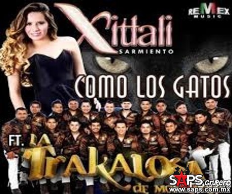 «Como Los Gatos» – La Trakalosa de Monterrey Feat Xitlali Sarmiento