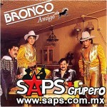 Bronco Amigo ( MEX - 1990 )