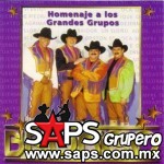 Homenaje A Los Grandes Grupos ( MEX - 1996)