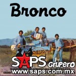 grande-de-caderas Bronco Bronco ( 1983 )