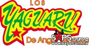 yaguaru logo