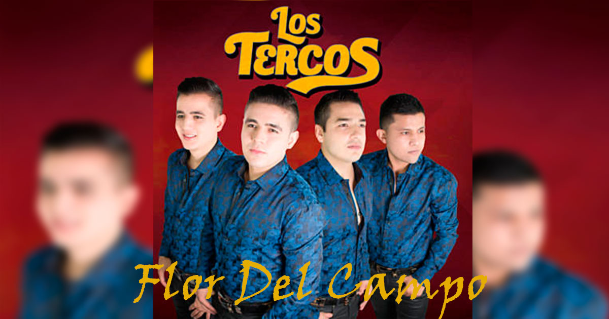 Los Tercos – Flor Del Campo (Letra Y Video Oficial)