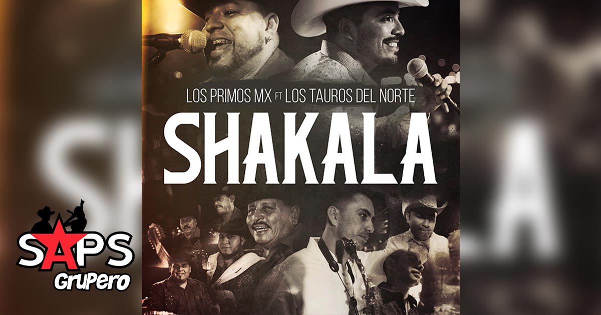 Los Primos MX al ritmo de Huapango con «Shakala»