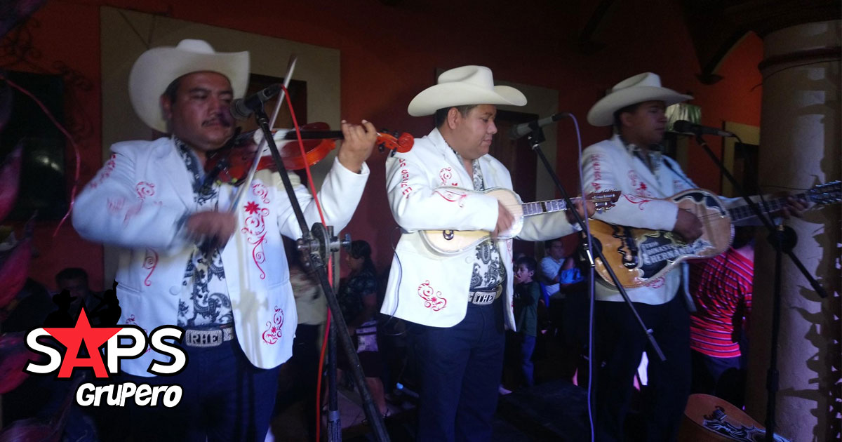 Multitudinario Festival de Huapango en Xochitlán