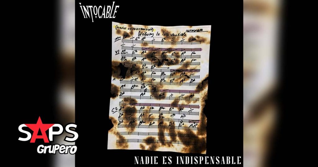 INTOCABLE, NADIE ES INDISPENSABLE
