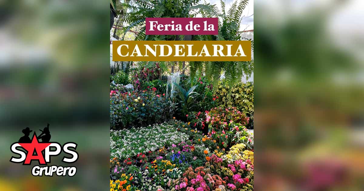Feria de la Candelaria San Miguel de Allende 2020 – Cartelera Oficial