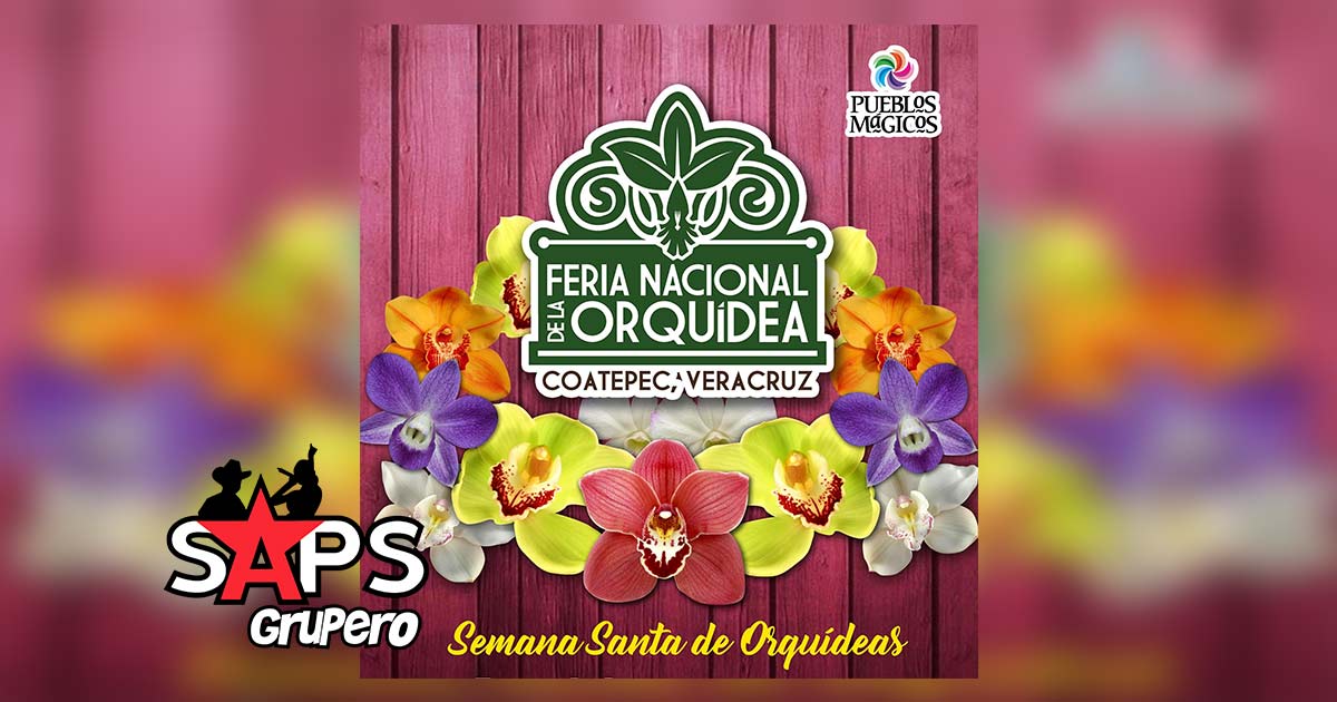 Feria Nacional de la Orquídea Coatepec 2020 – Cartelera Oficial