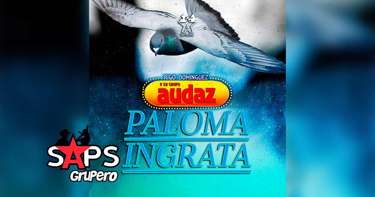 Letra Paloma Ingrata – Rigo Domínguez Y Su Grupo Audaz