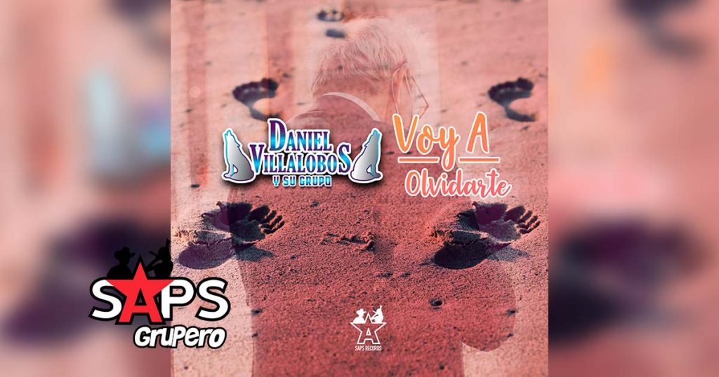 Letra Voy A Olvidarte - Daniel Villalobos y Su Grupo