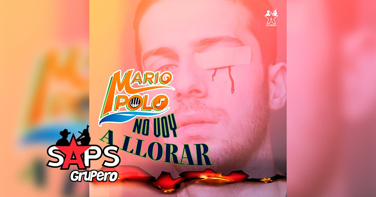 Letra No Voy A Llorar – Mario Polo