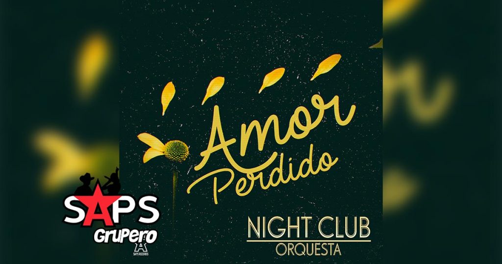 Letra Amor Perdido – Night Club Orquesta