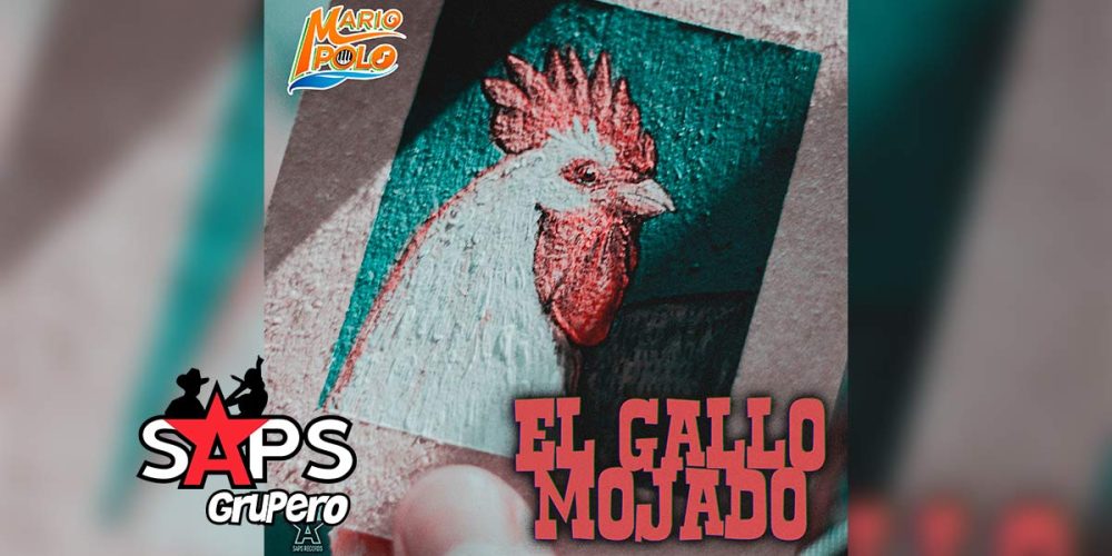Letra El Gallo Mojado – Mario Polo