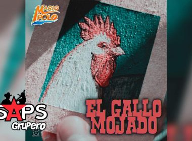 Letra El Gallo Mojado – Mario Polo