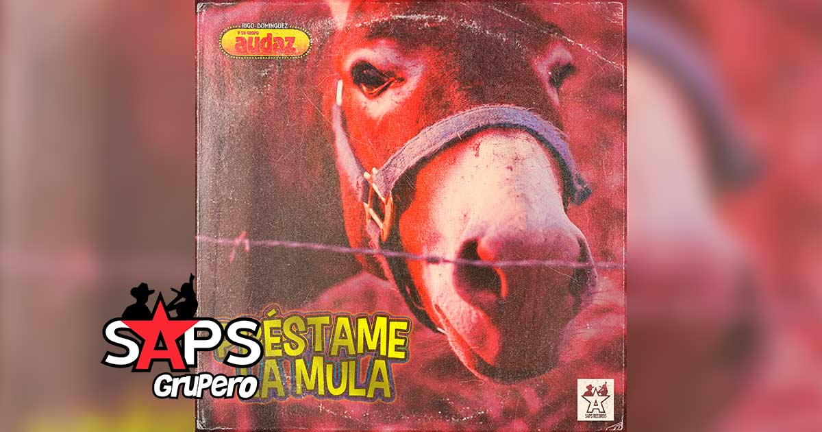 Letra Préstame La Mula – Rigo Domínguez Y Su Grupo Audaz