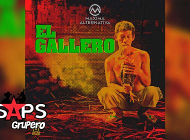 Letra El Gallero–Máxima-Alternativa