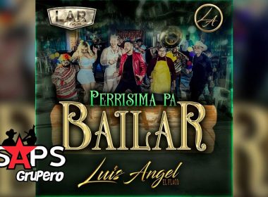 Letra Perrísima Pa’ Bailar – Luis Ángel El Flaco