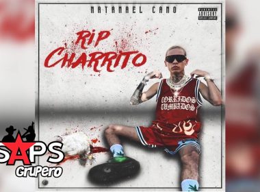 Letra Rip Charrito – Natanael Cano