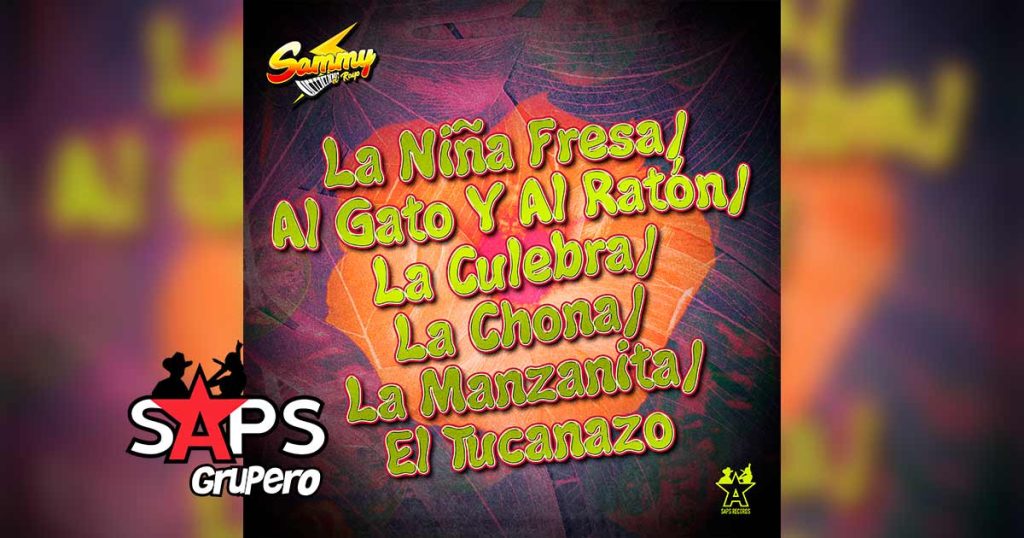 Letra La Niña Fresa / Al Gato Y Al Ratón / La Culebra / La Chona / La Manzanita / El Tucanazo – Sammy El Rayo