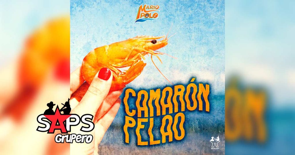 Letra Camarón Pelao – Mario Polo