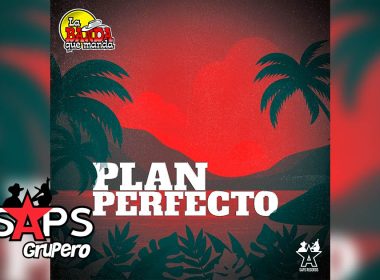 Letra Plan Perfecto – La Banda Que Manda
