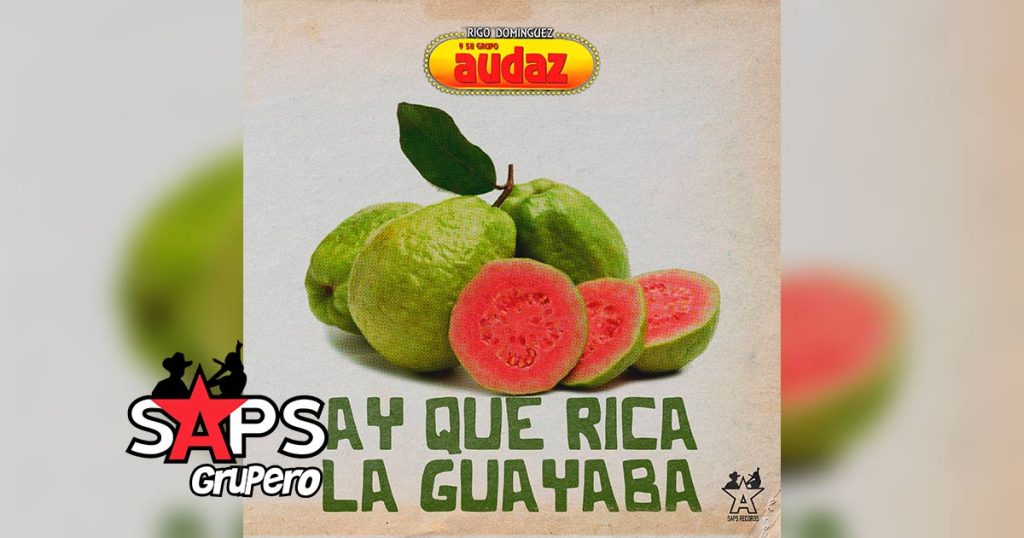 Letra Ay Que Rica La Guayaba – Rigo Domínguez Y Su Grupo Audaz