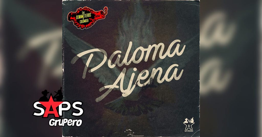 Letra Paloma Ajena – Los Dinamiteros De Colombia