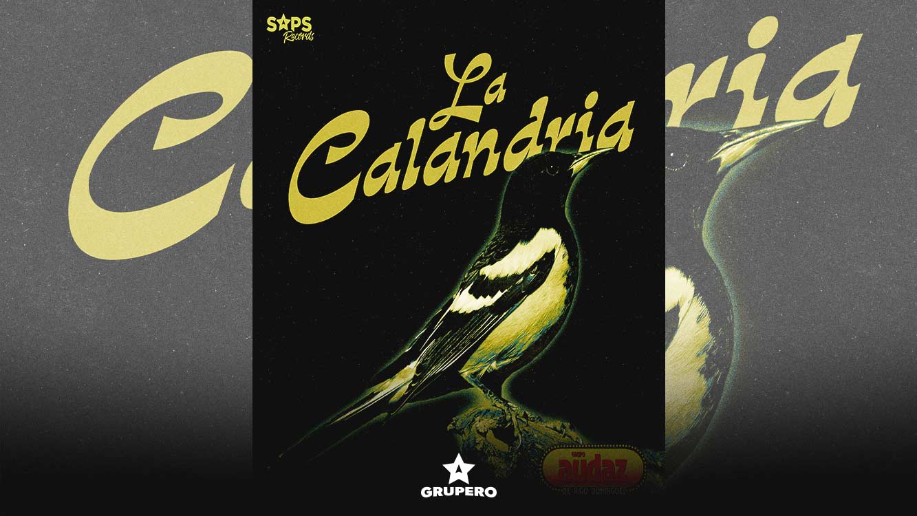 Letra “La Calandria” – Grupo Audaz De Rigo Domínguez