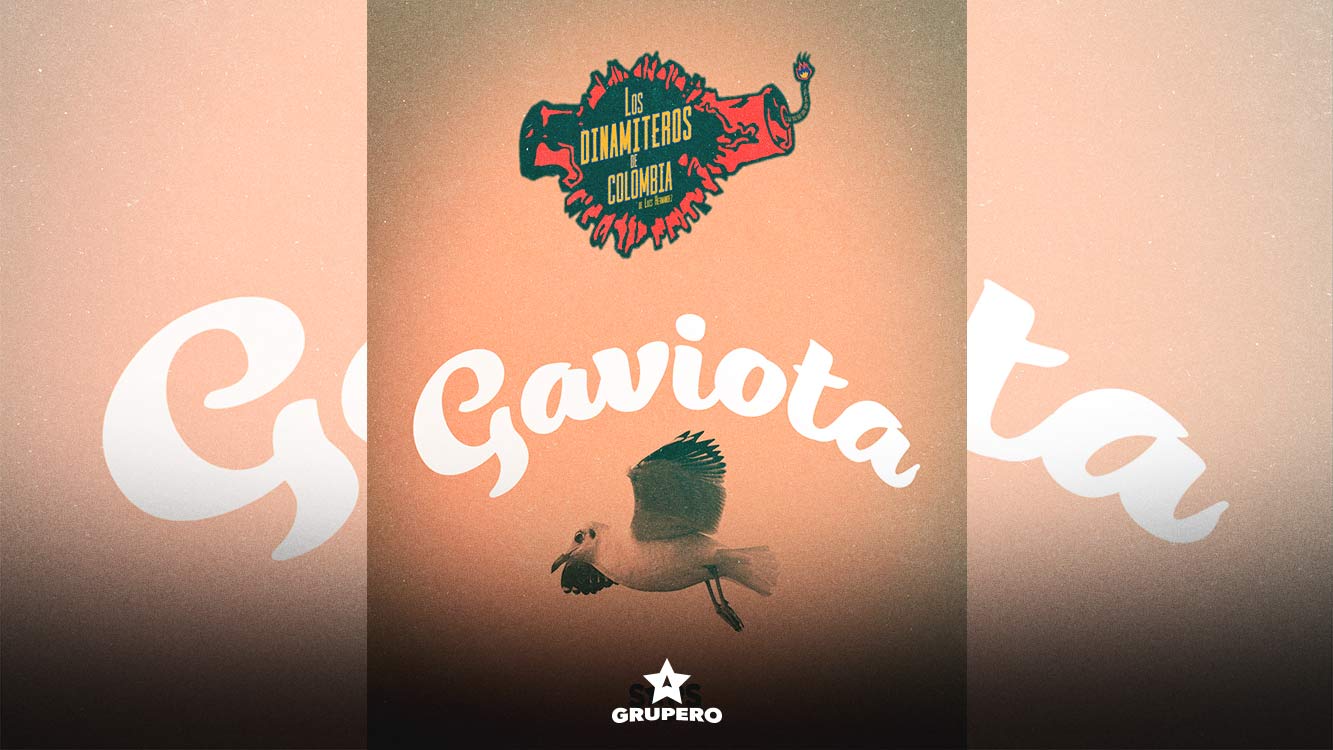 Letra “Gaviota” – Los Dinamiteros De Colombia