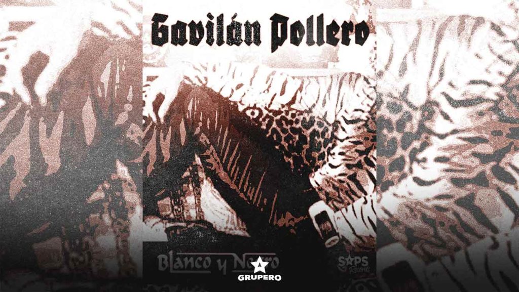 Letra “Gavilán Pollero” - Blanco Y Negro